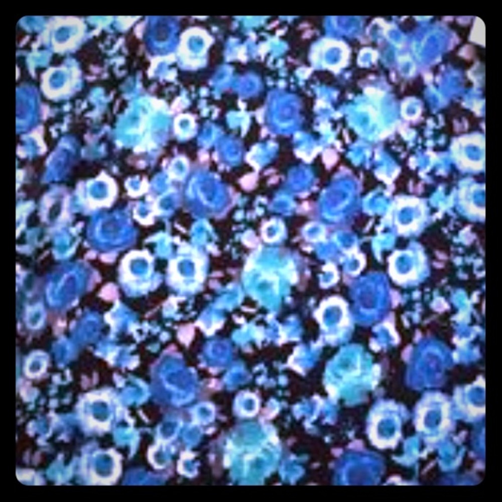 LulaRoe Black with blue floral Cassie
